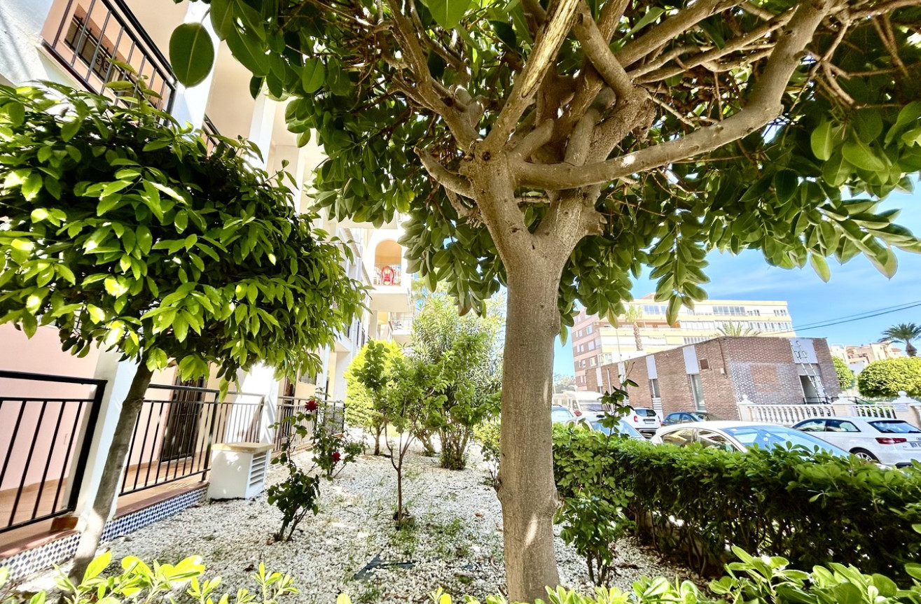 Odsprzedaż - Mieszkanie w bloku - Torrevieja - Costa Blanca