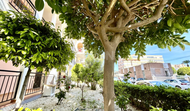 Odsprzedaż - Mieszkanie w bloku - Torrevieja - Costa Blanca