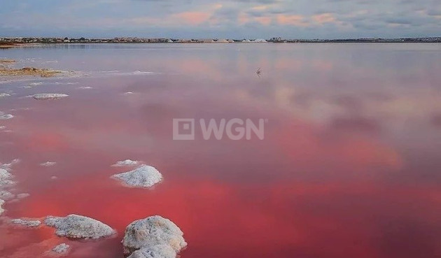 Nowy budynek - Villa - Torrevieja - Lago Jardín II