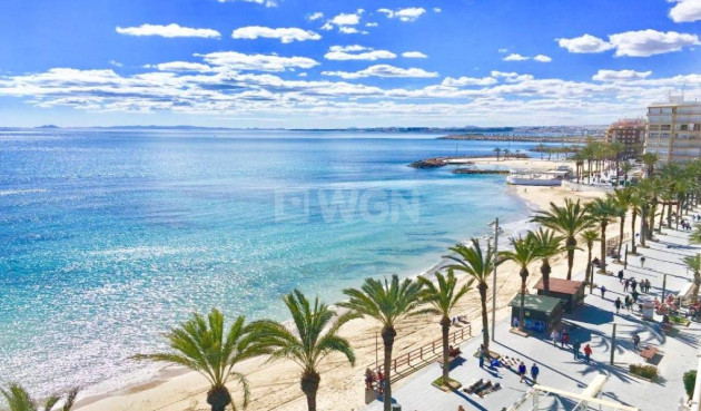 Nowy budynek - Bungalow - Torrevieja - Lago Jardín II