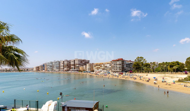 Odsprzedaż - Mieszkanie w bloku - Torrevieja - PARQUE DE LAS NACIONES