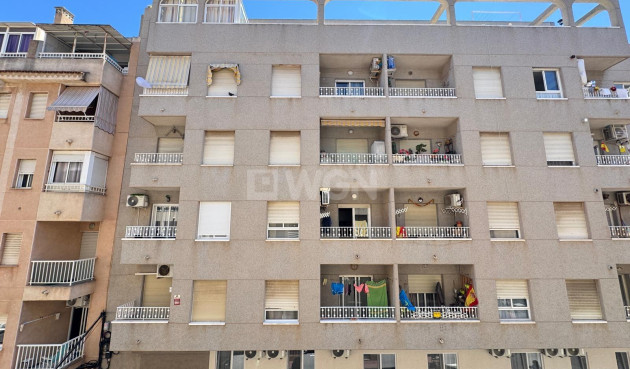 Odsprzedaż - Mieszkanie w bloku - Torrevieja - Centro