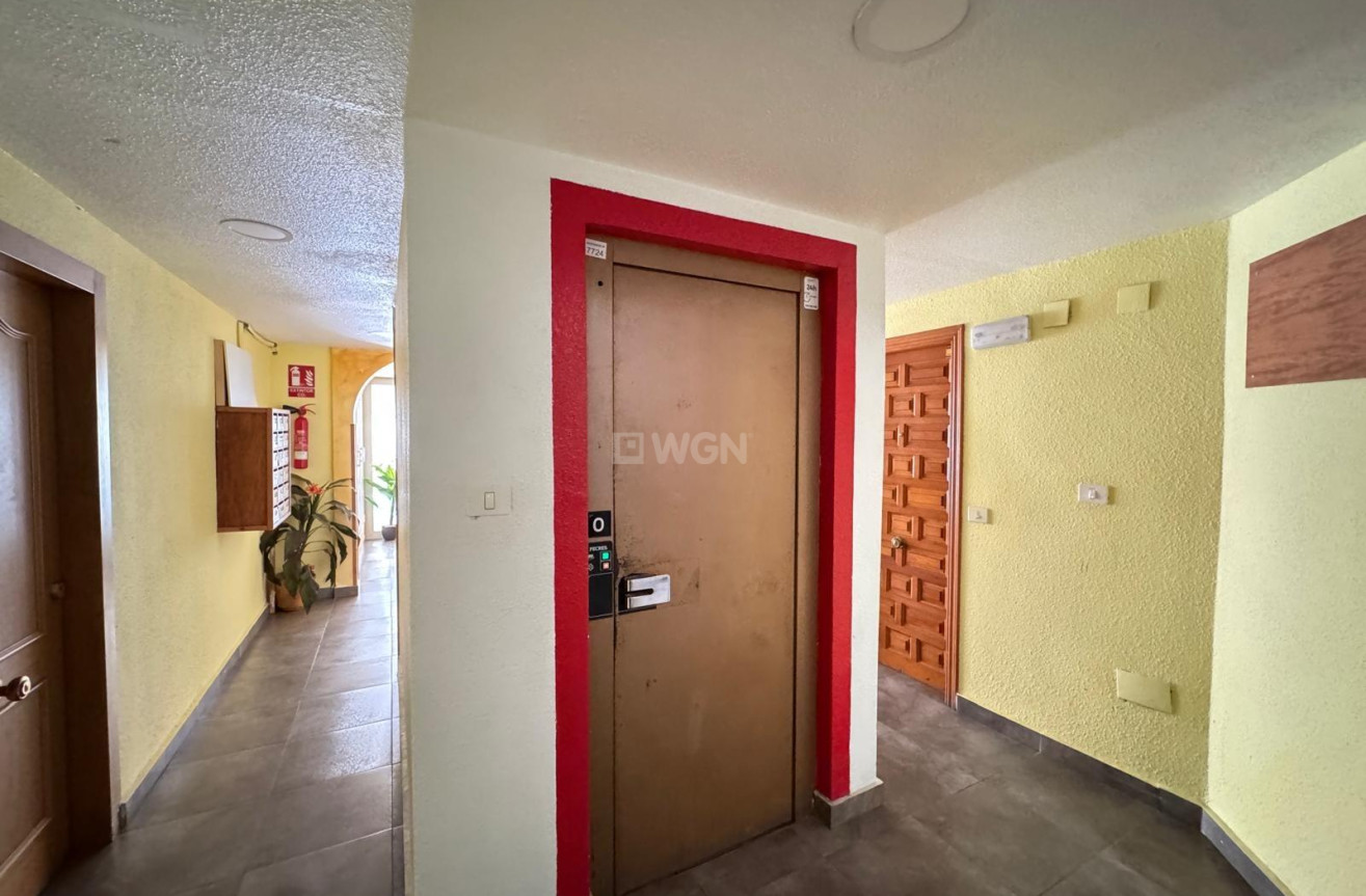 Odsprzedaż - Mieszkanie w bloku - Torrevieja - Centro