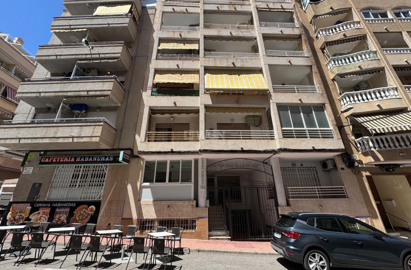 Odsprzedaż - Mieszkanie w bloku - Torrevieja - Centro