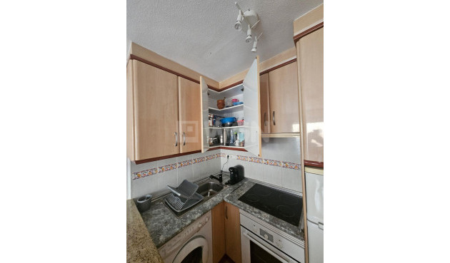 Odsprzedaż - Bungalow - Torrevieja - Lago Jardin
