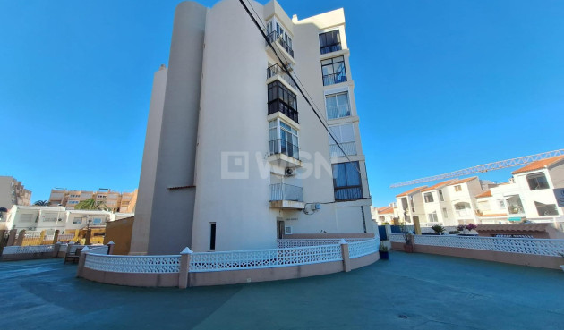 Odsprzedaż - Mieszkanie w bloku - Torrevieja - Torrejón