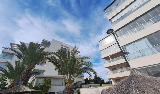 Odsprzedaż - Mieszkanie w bloku - Orihuela Costa - Los Dolses