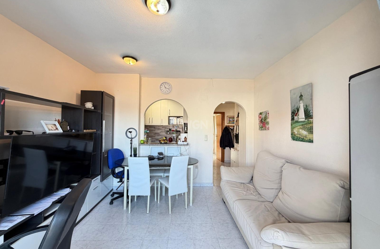 Odsprzedaż - Daszek - Torrevieja - Acequion