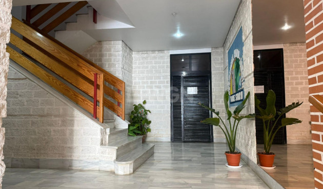 Odsprzedaż - Mieszkanie w bloku - Torrevieja - Centro