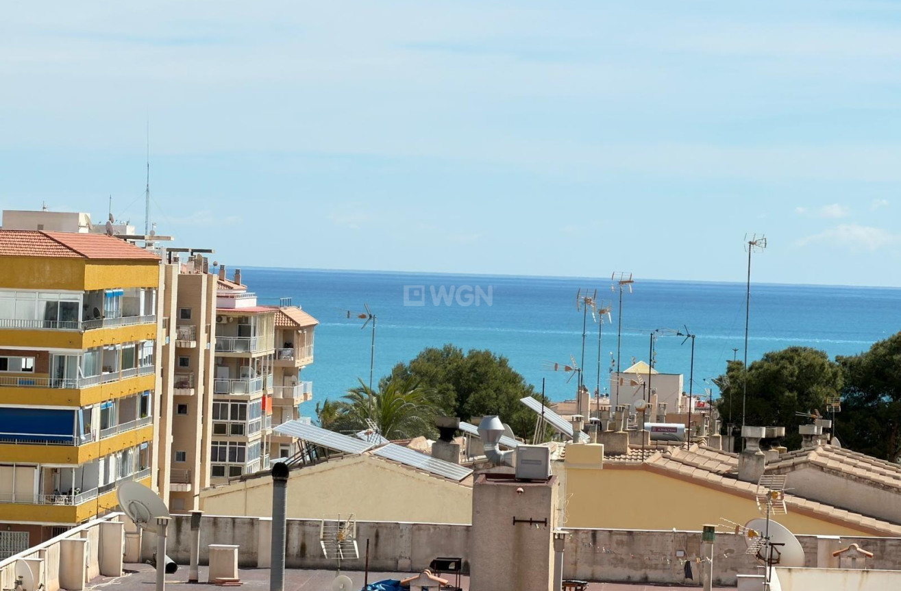 Odsprzedaż - Mieszkanie w bloku - Torrevieja - Punta Prima