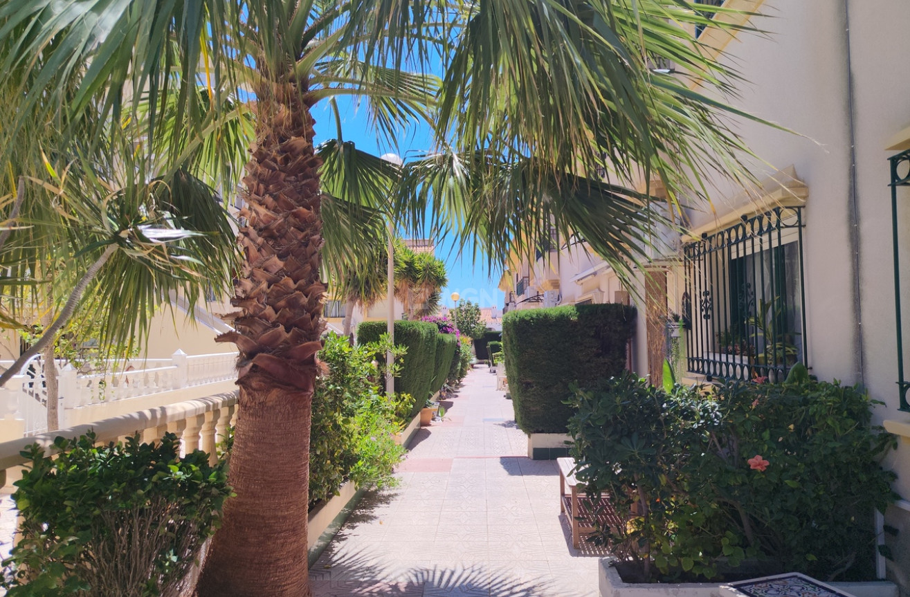 Odsprzedaż - Kamienica - La Zenia - Costa Blanca
