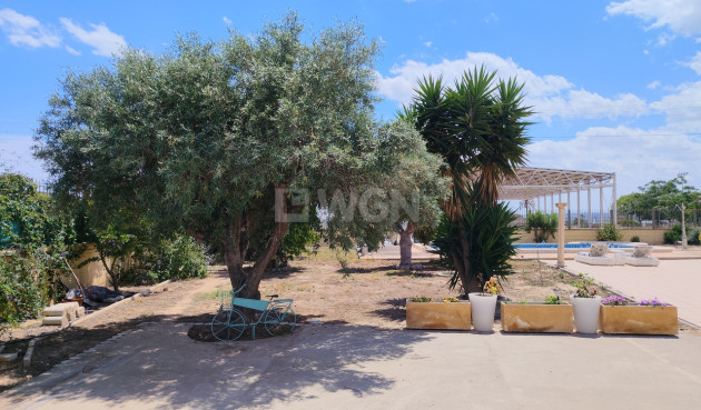 Odsprzedaż - Villa - Los Montesinos - Costa Blanca