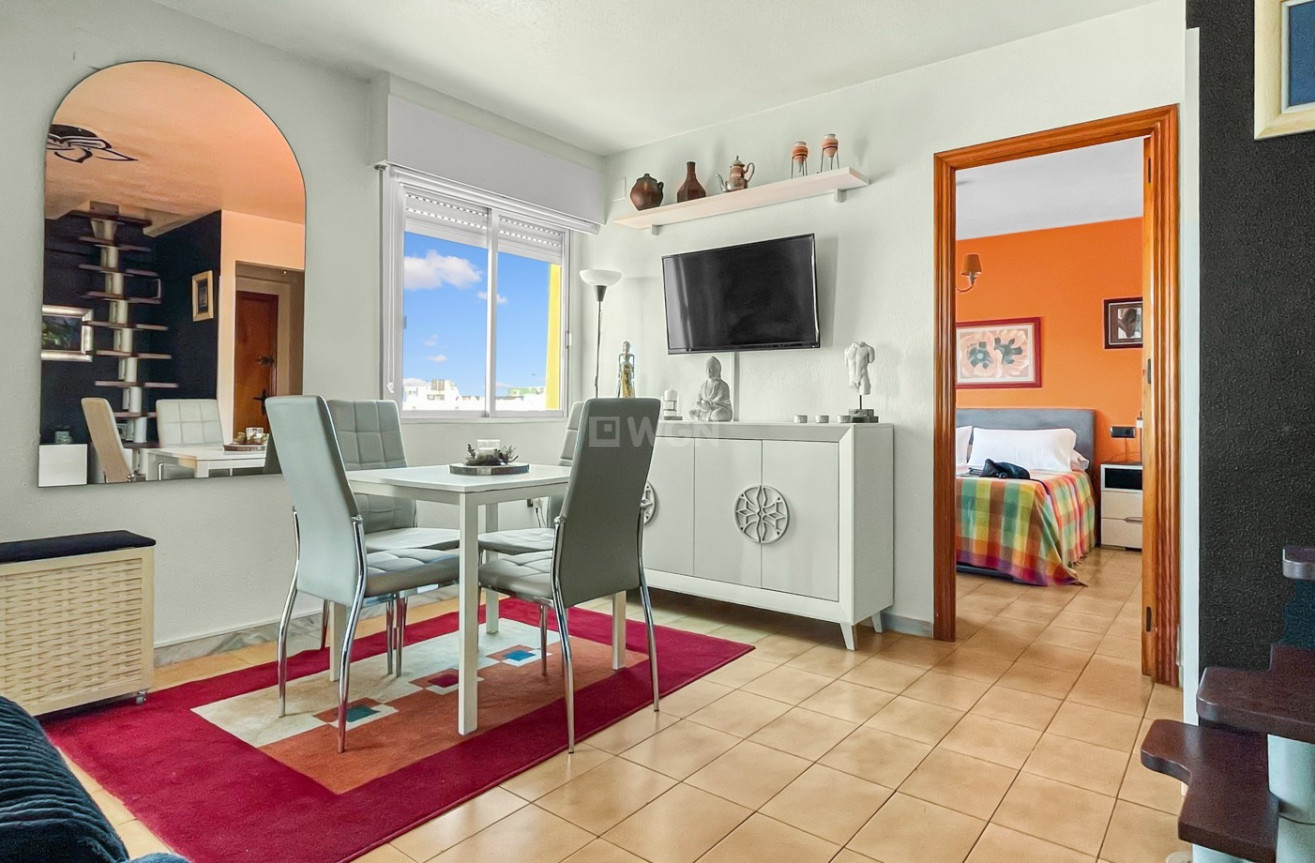 Odsprzedaż - Mieszkanie w bloku - Torrevieja - Costa Blanca