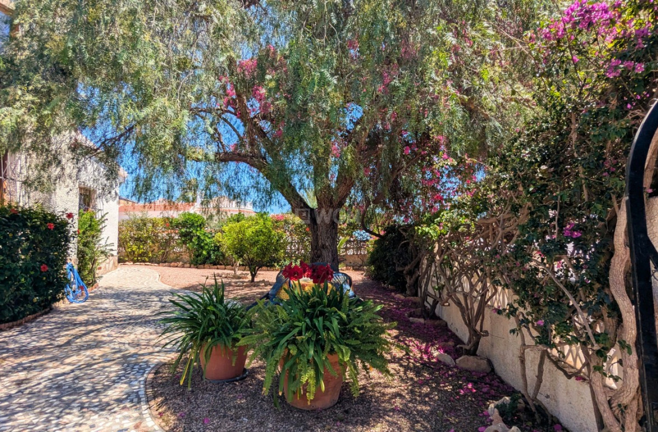 Odsprzedaż - Villa - Ciudad Quesada - Costa Blanca