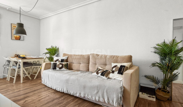 Odsprzedaż - Mieszkanie w bloku - Torrevieja - Costa Blanca