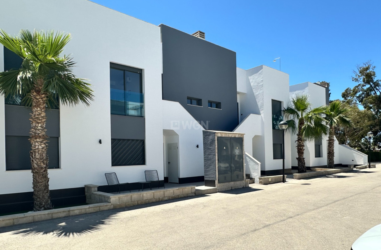 Odsprzedaż - Mieszkanie w bloku - Guardamar del Segura - Costa Blanca