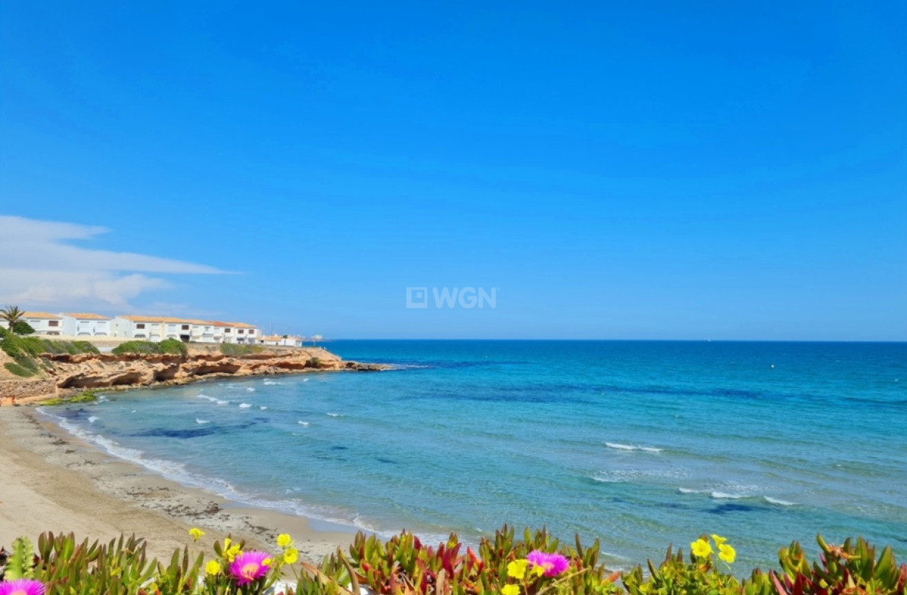 Odsprzedaż - Mieszkanie w bloku - Villamartin - Costa Blanca