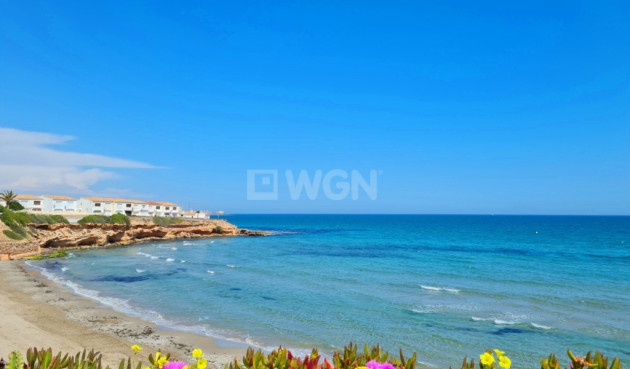 Odsprzedaż - Mieszkanie w bloku - Villamartin - Costa Blanca