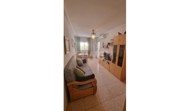 Odsprzedaż - Mieszkanie w bloku - Torrevieja - Centro