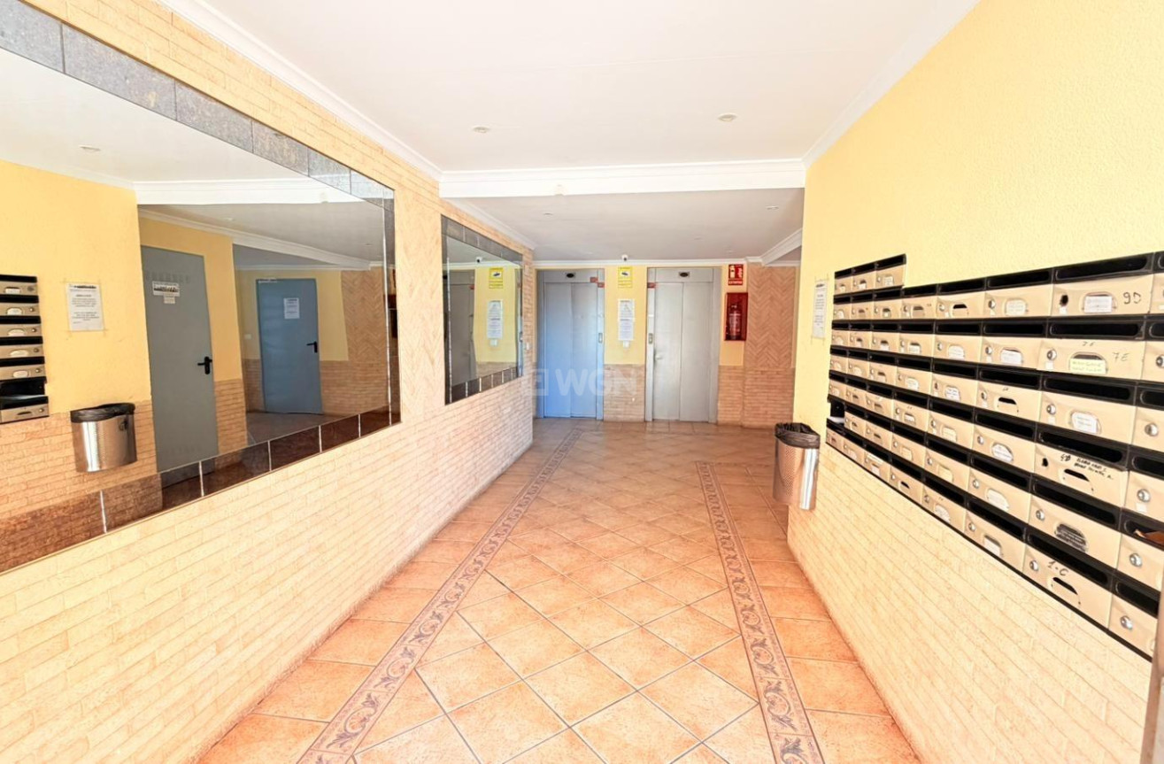 Odsprzedaż - Mieszkanie w bloku - Torrevieja - Nueva Torrevieja