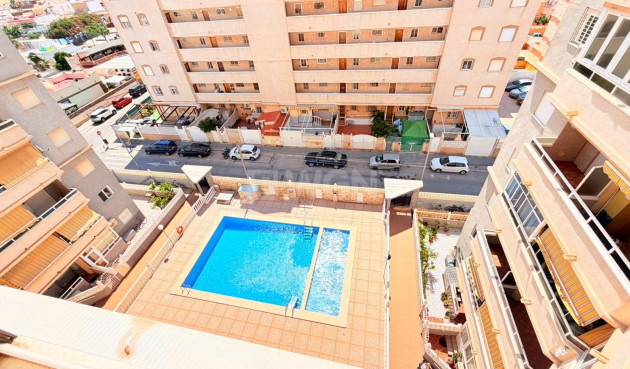 Odsprzedaż - Mieszkanie w bloku - Torrevieja - Nueva Torrevieja