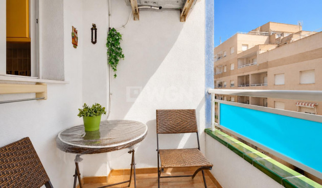 Odsprzedaż - Mieszkanie w bloku - Torrevieja - Costa Blanca