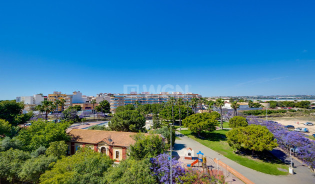 Odsprzedaż - Mieszkanie w bloku - Torrevieja - Costa Blanca