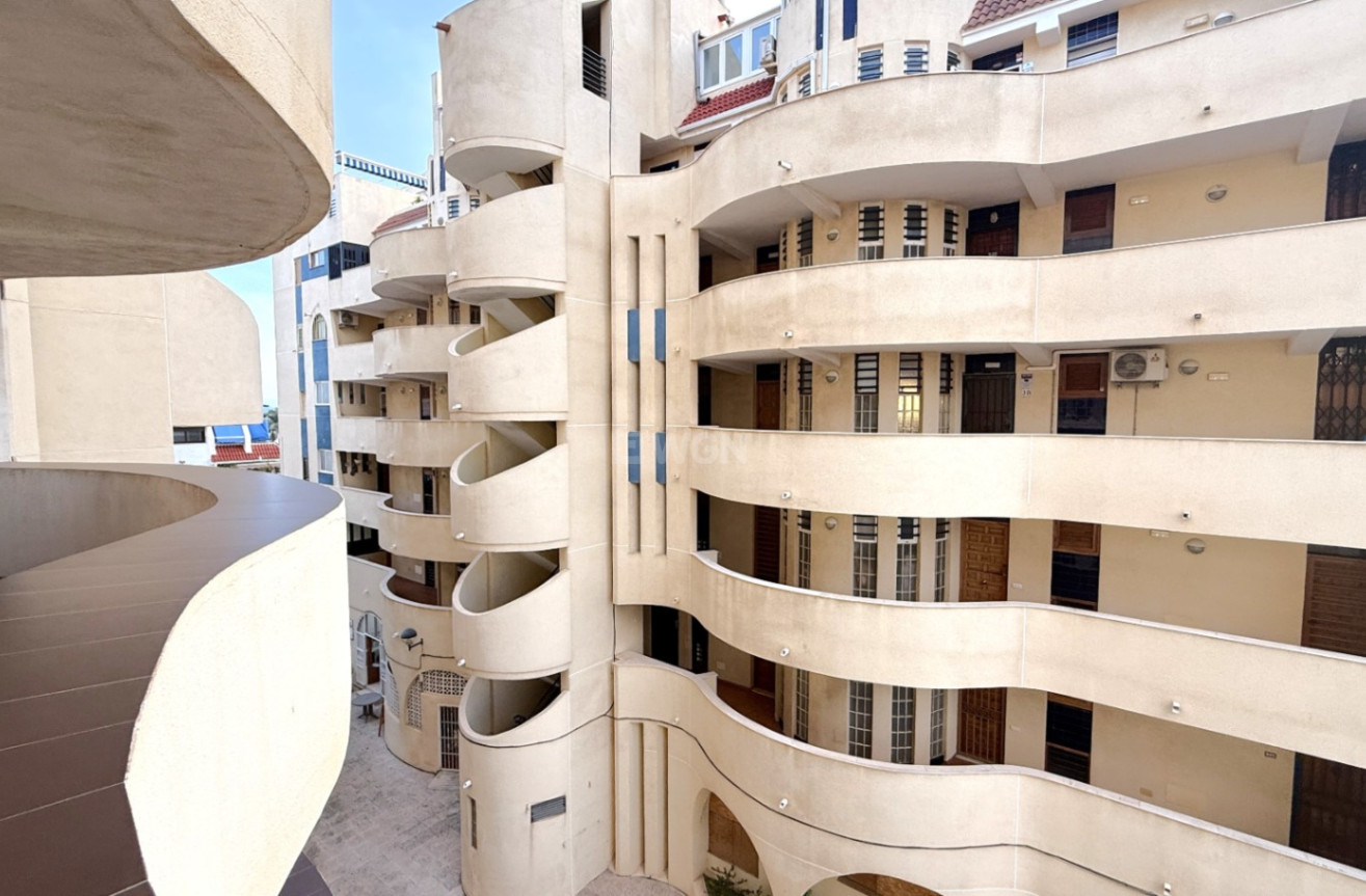 Odsprzedaż - Mieszkanie w bloku - Torrevieja - Costa Blanca