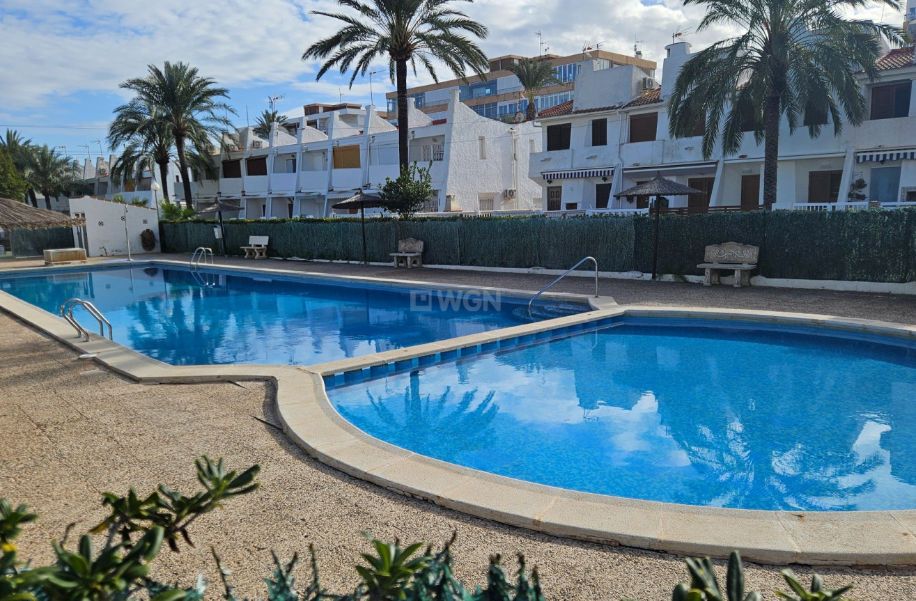 Odsprzedaż - Mieszkanie w bloku - Torrevieja - Costa Blanca