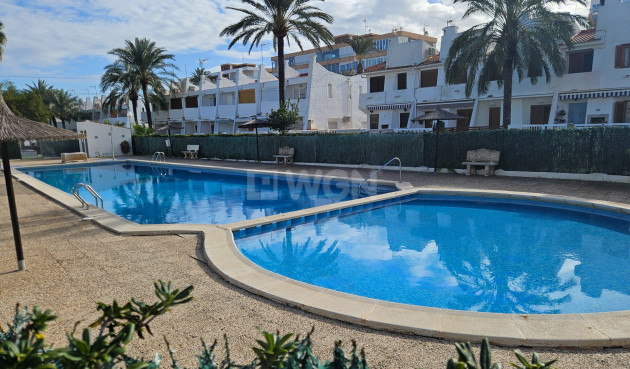 Odsprzedaż - Mieszkanie w bloku - Torrevieja - Costa Blanca