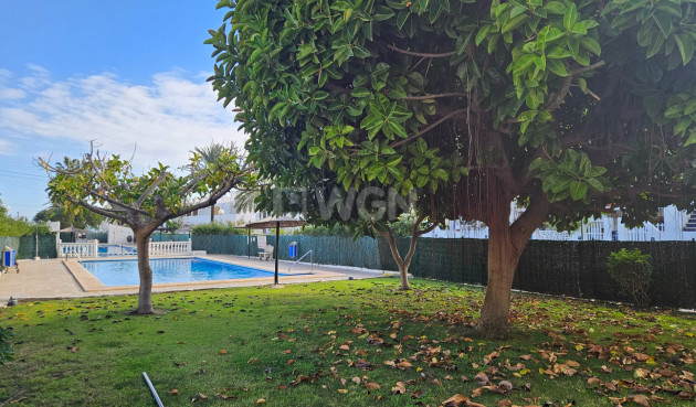 Odsprzedaż - Mieszkanie w bloku - Torrevieja - Costa Blanca