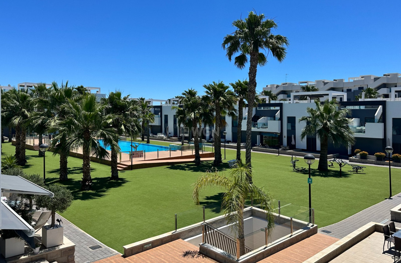 Odsprzedaż - Mieszkanie w bloku - Guardamar del Segura - Costa Blanca