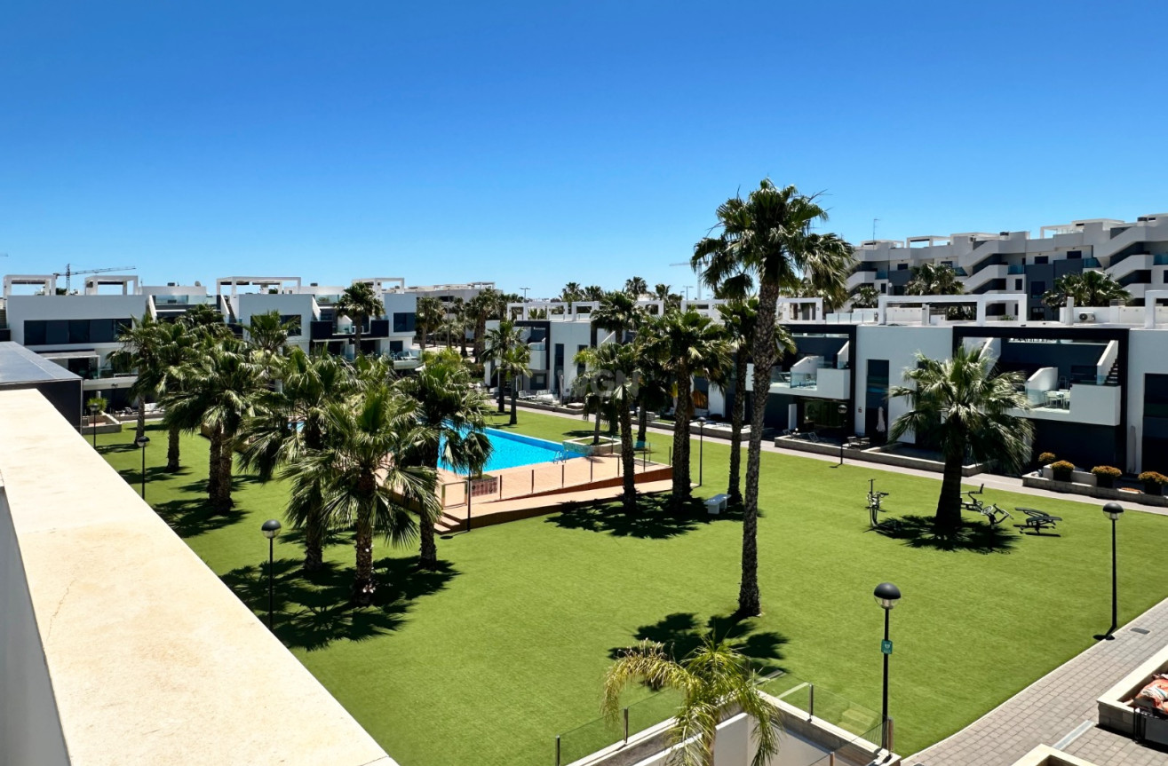 Odsprzedaż - Mieszkanie w bloku - Guardamar del Segura - Costa Blanca