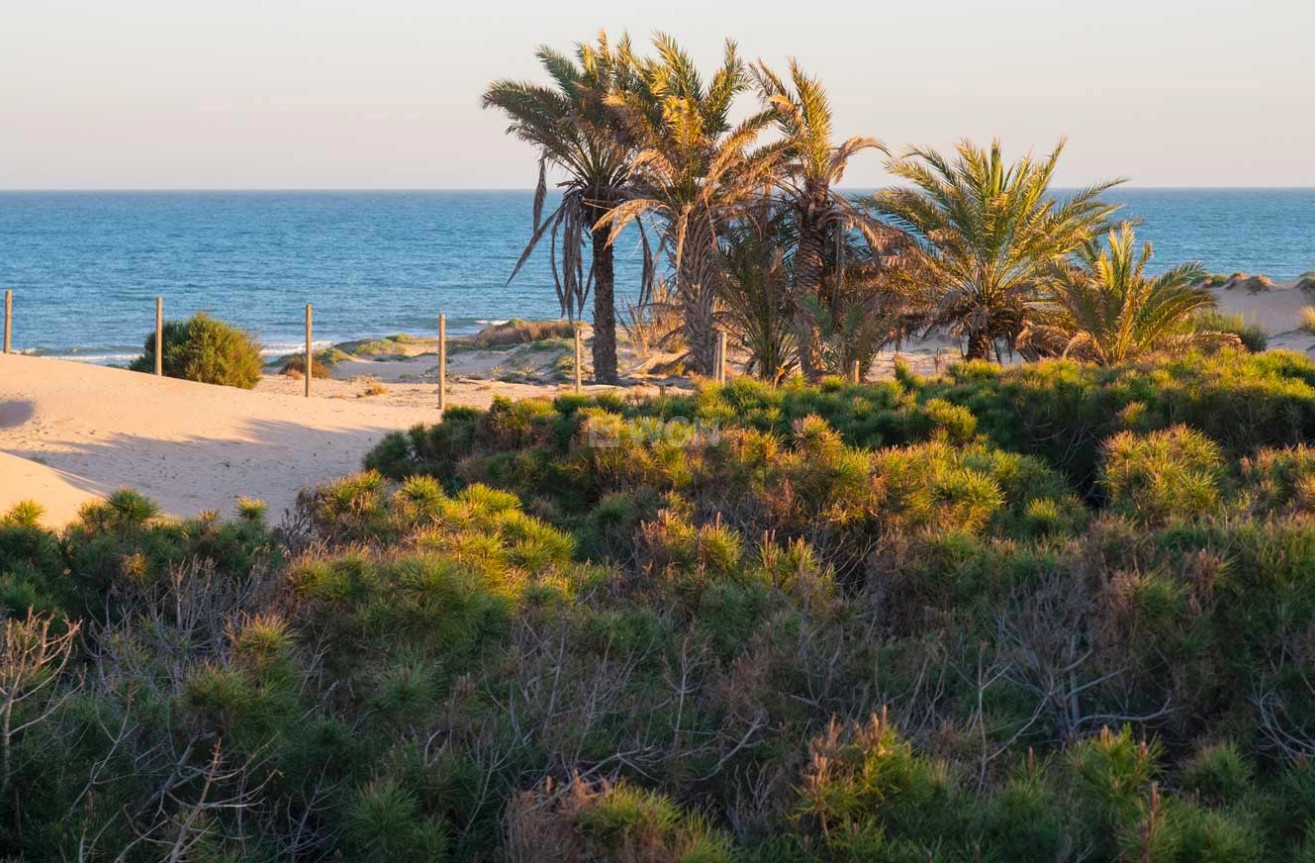 Odsprzedaż - Mieszkanie w bloku - Guardamar del Segura - Costa Blanca