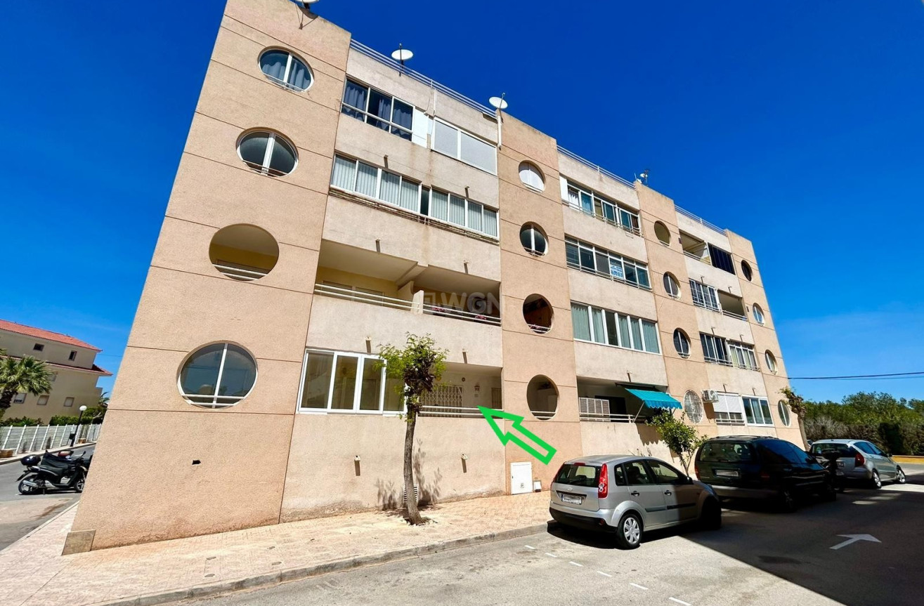 Odsprzedaż - Mieszkanie w bloku - Torrevieja - Costa Blanca
