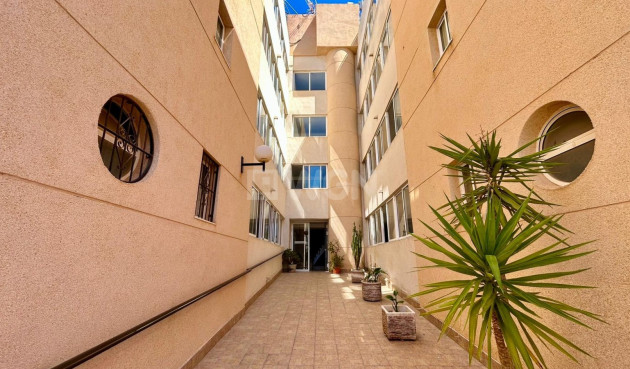 Odsprzedaż - Mieszkanie w bloku - Torrevieja - Costa Blanca