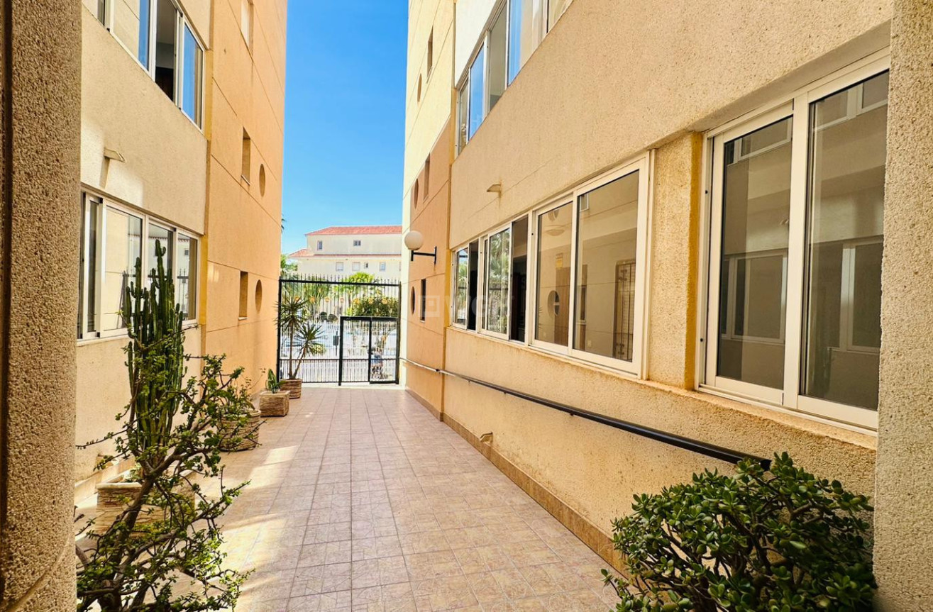 Odsprzedaż - Mieszkanie w bloku - Torrevieja - Costa Blanca