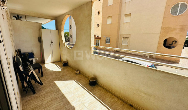 Odsprzedaż - Mieszkanie w bloku - Torrevieja - Costa Blanca