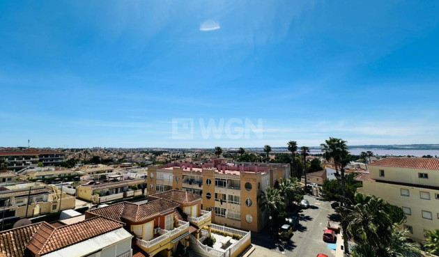 Odsprzedaż - Mieszkanie w bloku - Torrevieja - Costa Blanca