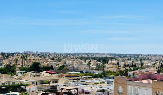 Odsprzedaż - Mieszkanie w bloku - Torrevieja - Costa Blanca