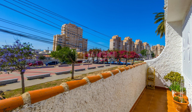 Odsprzedaż - Kamienica - Torrevieja - Nueva Torrevieja