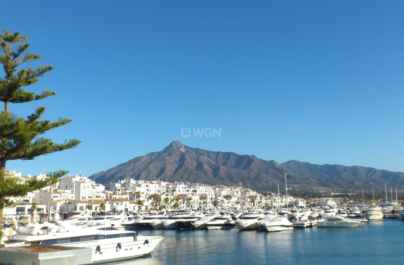 Nowy budynek - Mieszkanie w bloku - Marbella - Nueva Andalucia