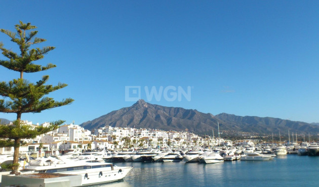 Nowy budynek - Mieszkanie w bloku - Marbella - Nueva Andalucia