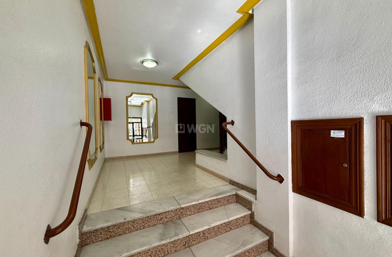 Odsprzedaż - Mieszkanie w bloku - Torrevieja - Centro