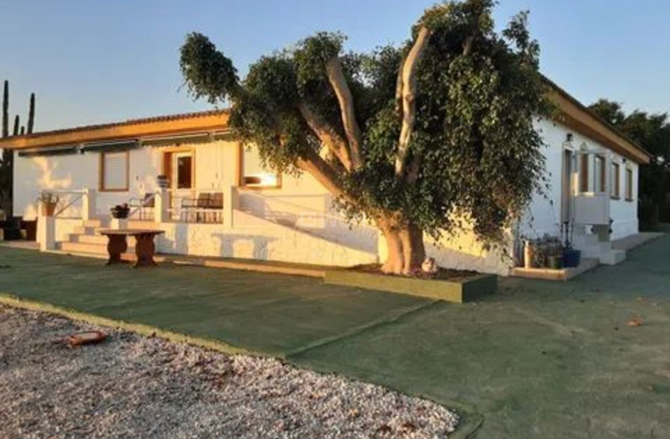 Resale - Villa - San Miguel de Salinas - Inland
