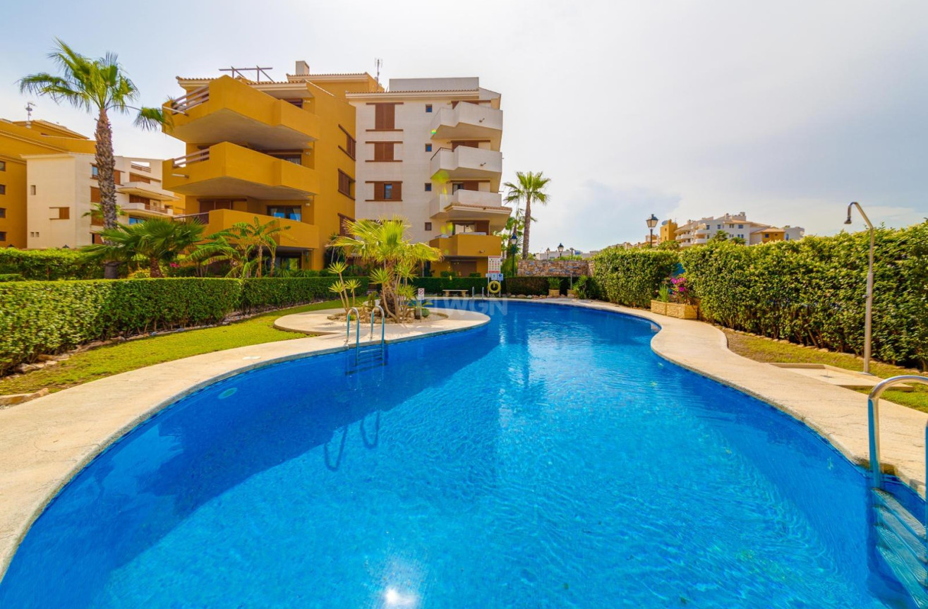 Odsprzedaż - Mieszkanie w bloku - Torrevieja - Punta Prima