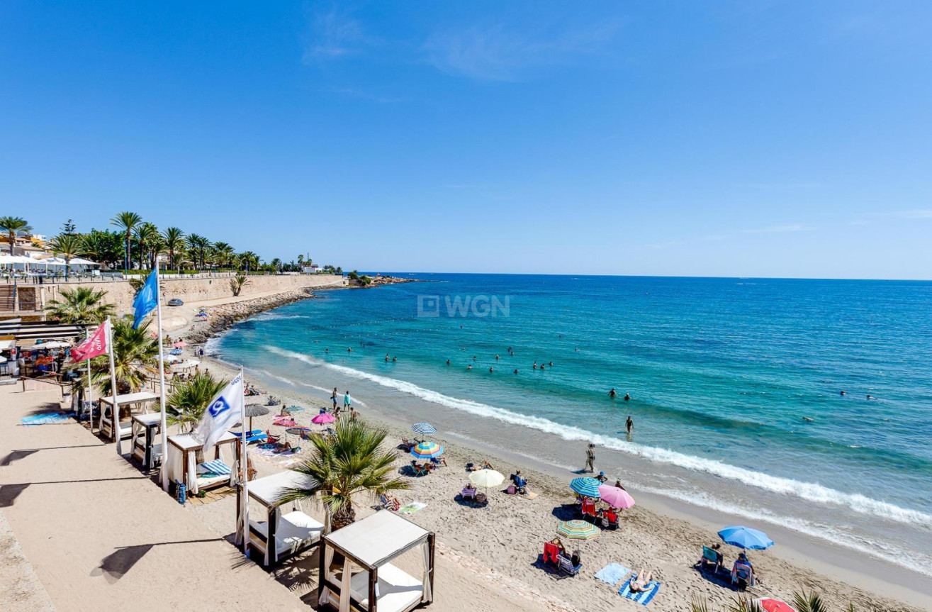Odsprzedaż - Mieszkanie w bloku - Torrevieja - Punta Prima