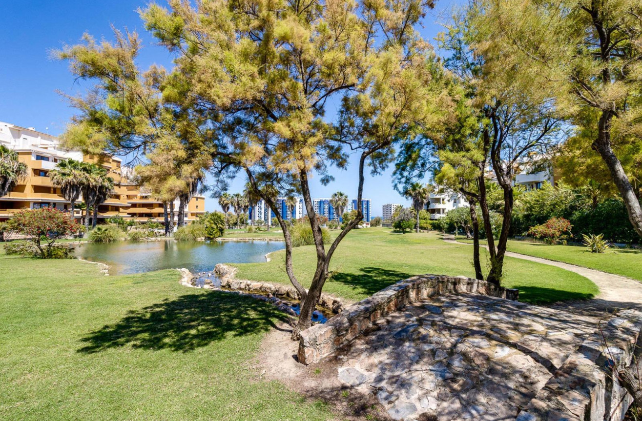 Odsprzedaż - Mieszkanie w bloku - Torrevieja - Punta Prima
