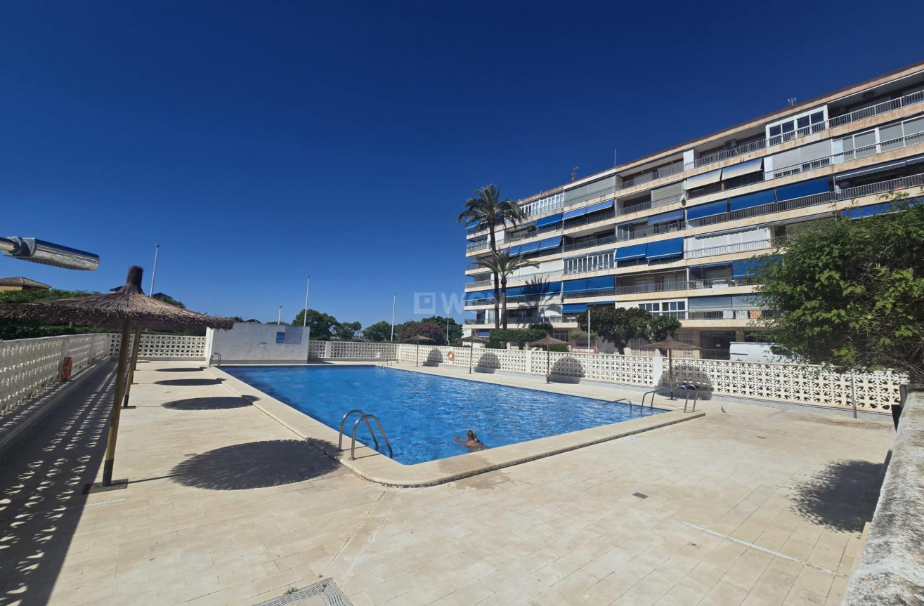 Odsprzedaż - Mieszkanie w bloku - Torrevieja - Puerto Deportivo Marina Salinas