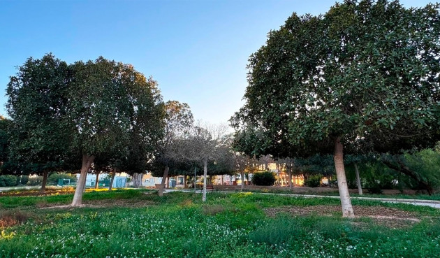 Reventa - Villa - Rojales - Ciudad Quesada